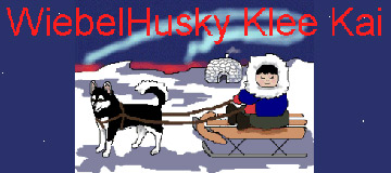 WiebelHusky Klee Kai